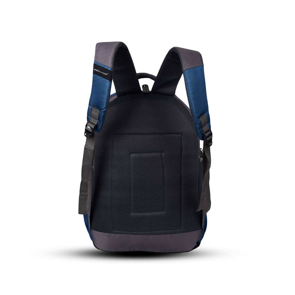 Greenlands Martian Laptop Work Backpack Blue Color Backside View
