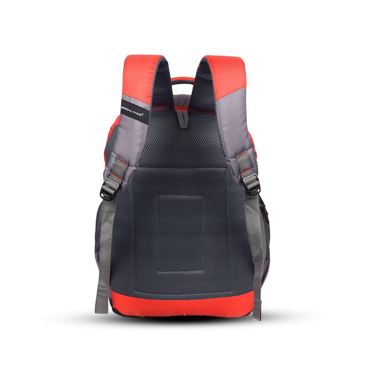 Greenlands Martian Laptop Work Backpack Grey Color Backside View